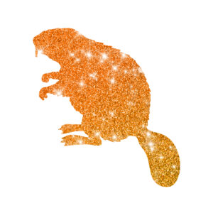 Biber Schablone für Glitzertattoos, 3lagig, entgittert und zugeschnitten 6,0 x 6,0cm