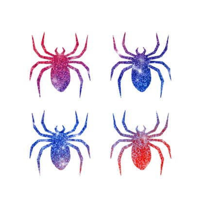4-Mini-coole-Spinne