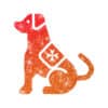 sanni-hund-s